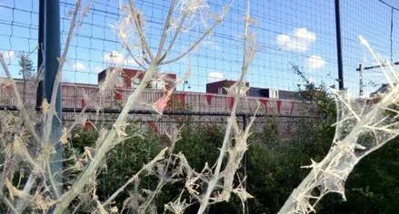 tkl68a1lp8dk0ahq3h654j4g4 61400