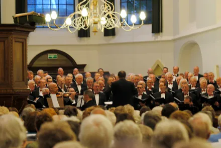 tlr94t6h817tpnfrz06hxi6ky 56949