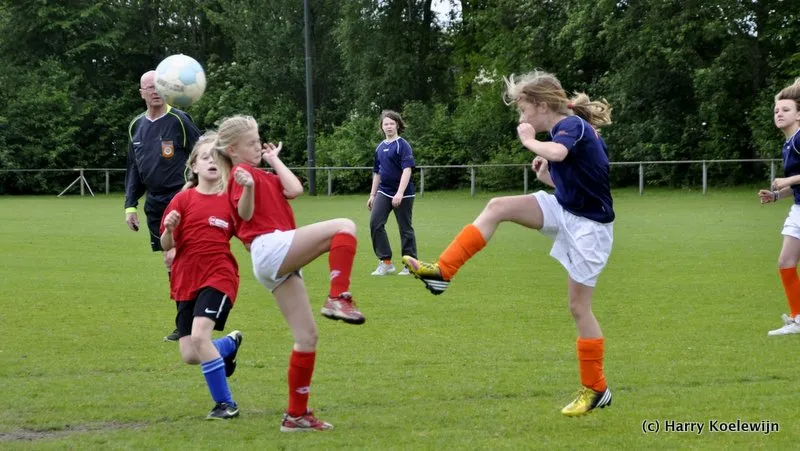 tmi2t0pqljfpugcmkw3woi440 dsc0017