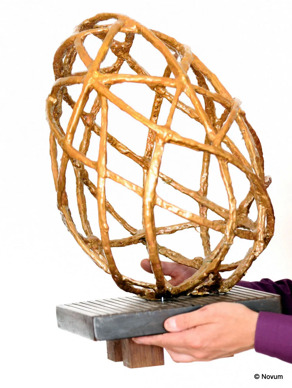 tsq3cwjba3g8pojva1ai0b94p gouden windei