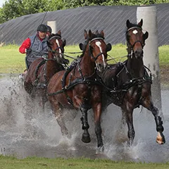 ttpm00lv1yd64zji42ha7zrvq 71955