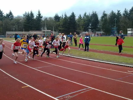 ttxnwy37pkxjwq8v47z3jv1zh 132518