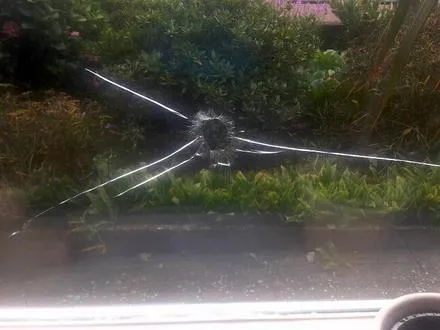 tw85lr0sayenvpj20u6rp051w 81755