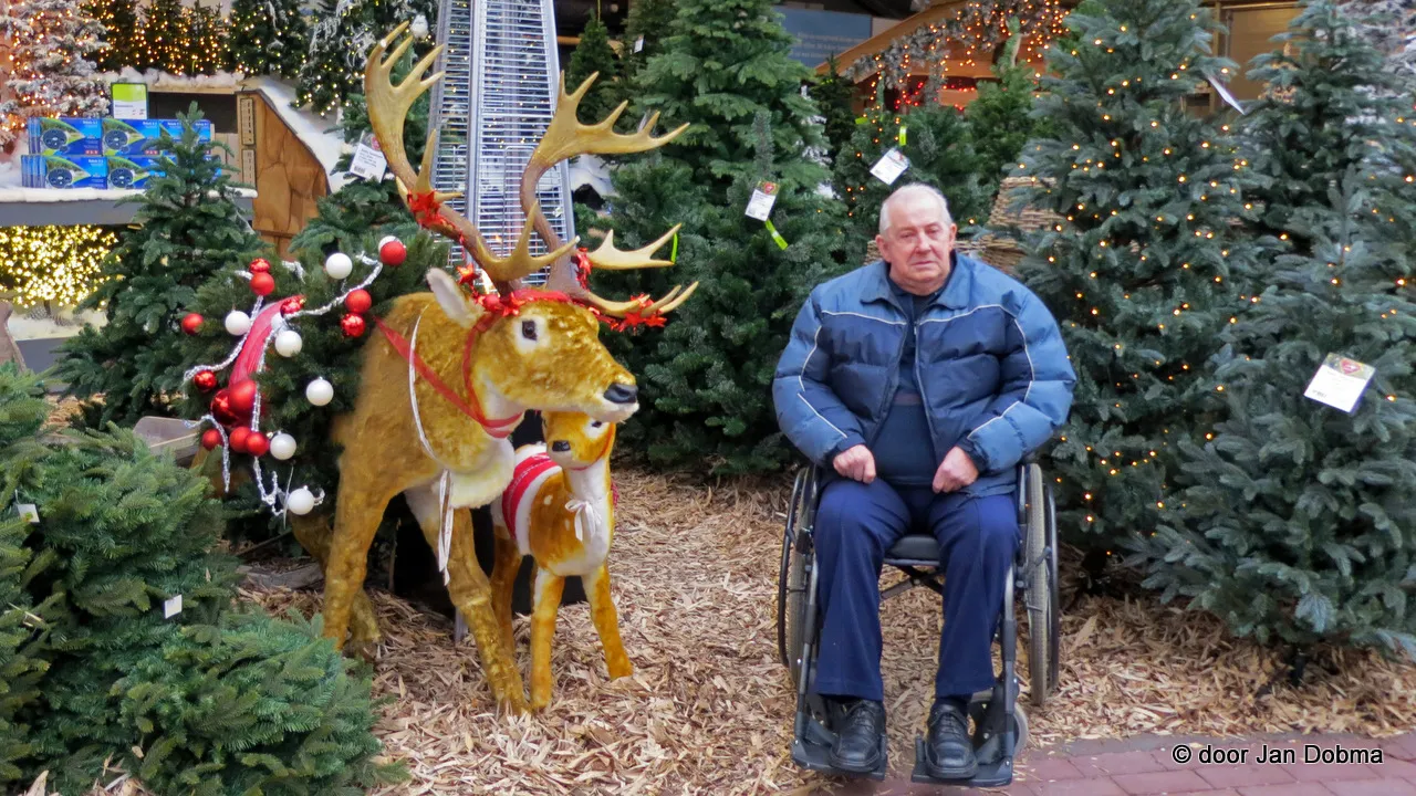 tz2o8zz83t5ncjgdwdqp2cn4j 2013 11 05 uvv kerstshow