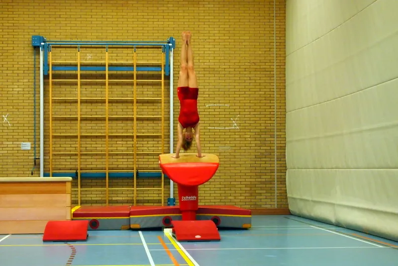 uezr2t9iznd0yv0cdxvtgxq68 219055