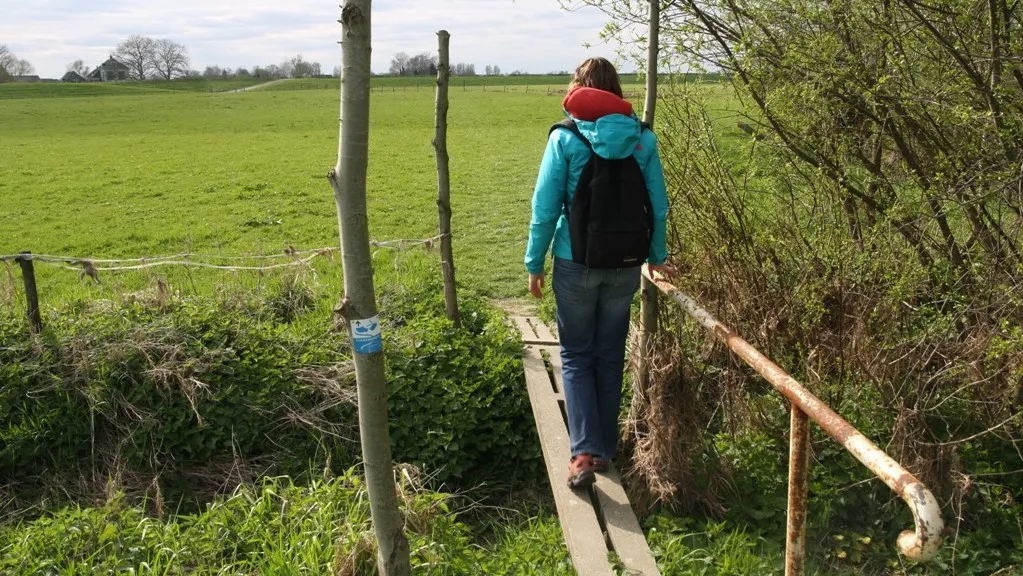 uhmsucp6vrbuh1bpdgvdv8p5v 2014 03 06 tuylermarkerpad april 2012 029a