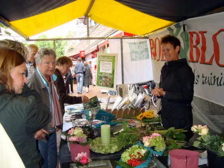 uw98swh7z5fq4h2x6icvictmj 80046