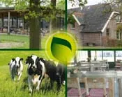 v4bot9mm51x0nn5wyk075xuir 204588