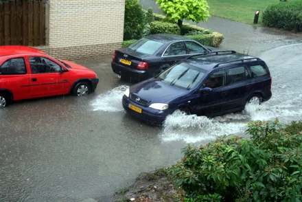 vaypsu0suyed2htbr3sr0rwum 66570