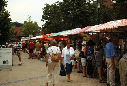 vcxo0qd9t1dx23h0862xwmk1o 66002