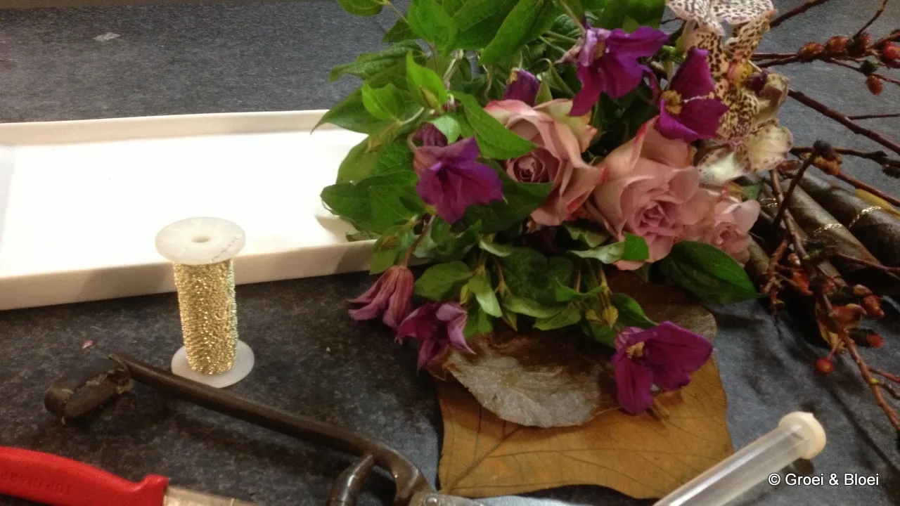 vkmq91a0q9v3cs8jwzi9u53l4 2014 03 03 groei en bloei