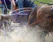 w2ebym7eymr00t24wgmpnmk8h 183817