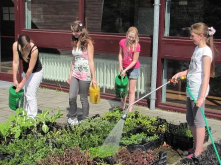 w9la0pkz4fnh5nhjb5xhcemd9 135349