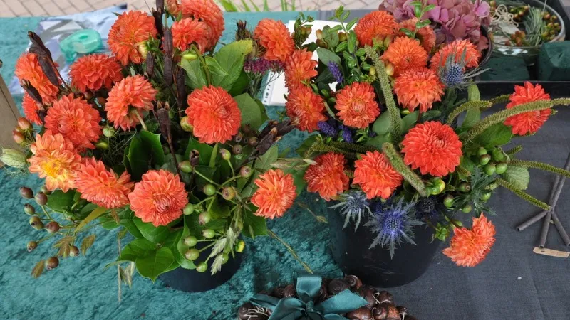 x7pitfhqpw4d6o7hc6471n3ve 212126