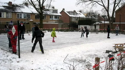 xb2n85tn65kgncz80d0w0jerl 36497