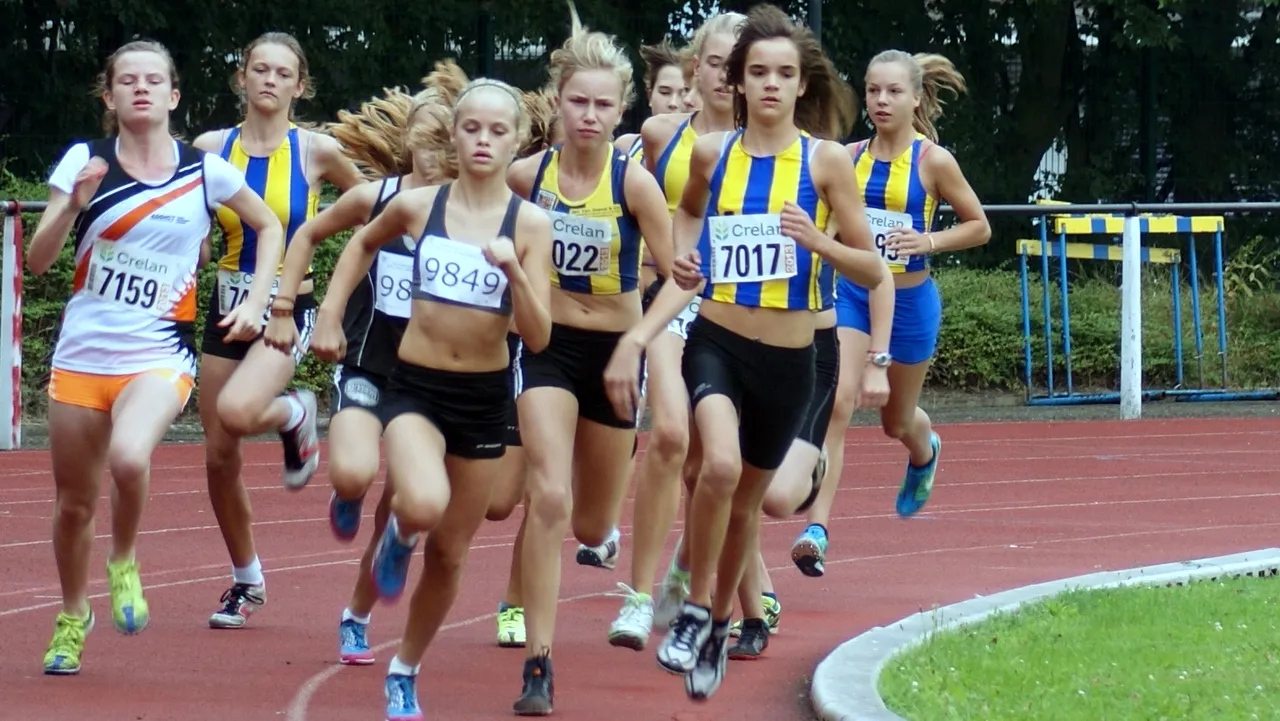 xm73v4npscexe7x9b5nb635tt 2013 08 26 wagenveld 1