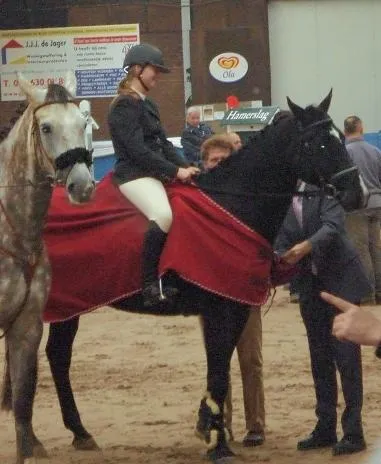 xn1rxcqenlmrtfz1g50e09e2x 30313