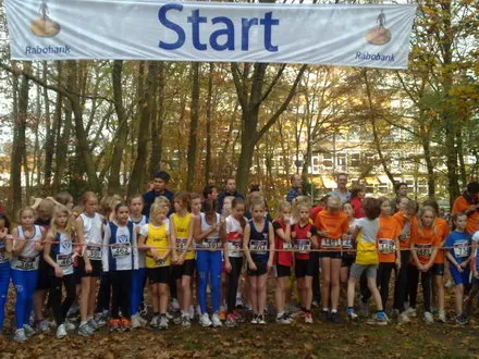 xr3r9a39anz3e5vtqe8uswhaz 96410