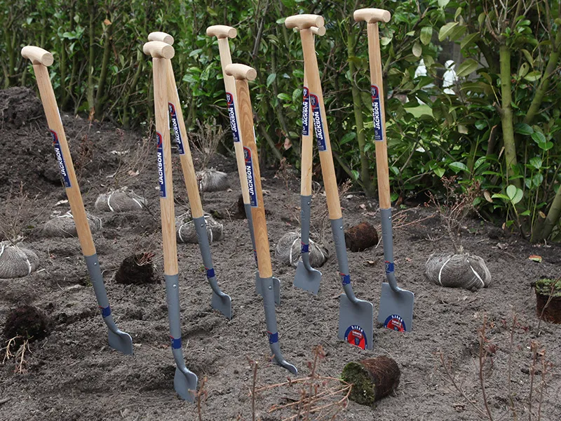 y6v62sonzzypodkpnvhwame7y 219636