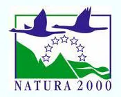 yr0ycaor6ui8e09jfajo2jzeq 40829