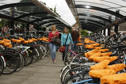 z8kxqzs0uxhz2udovhz5olsc9 149700