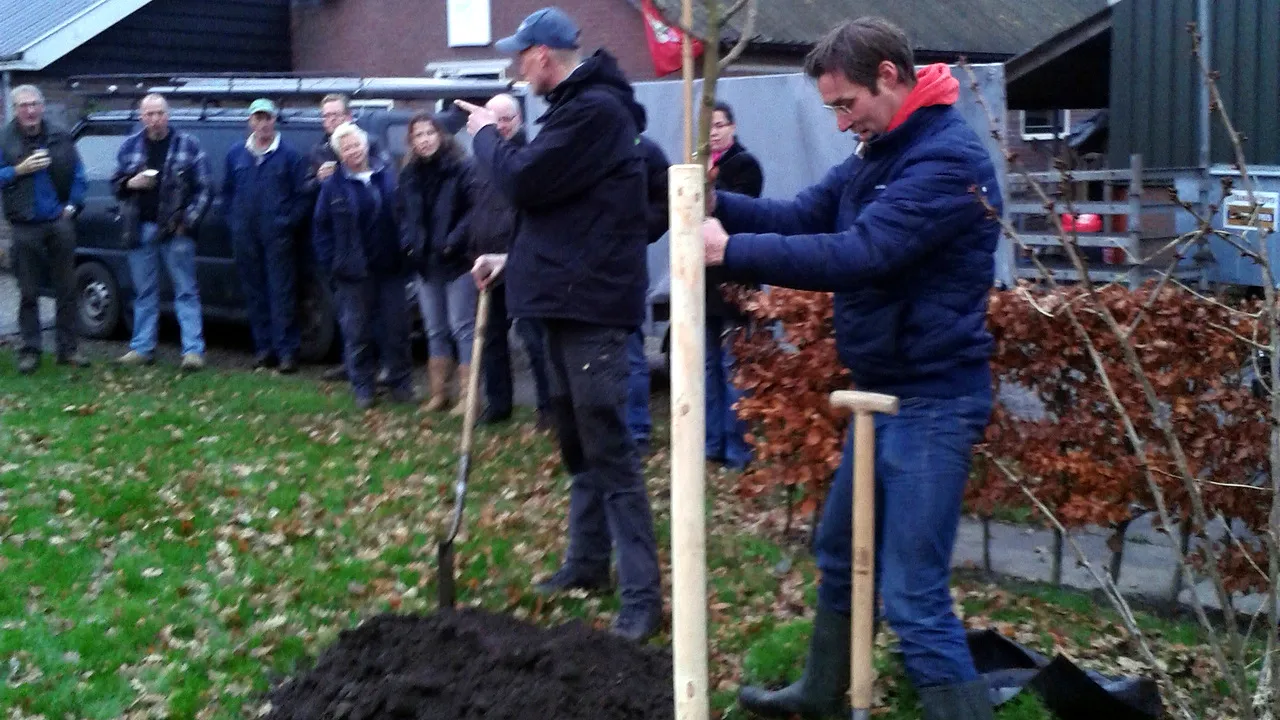 zdrt4y9bruw8p6cz2iihgao5y 2013 12 10 plantdag nijkerk in het groen
