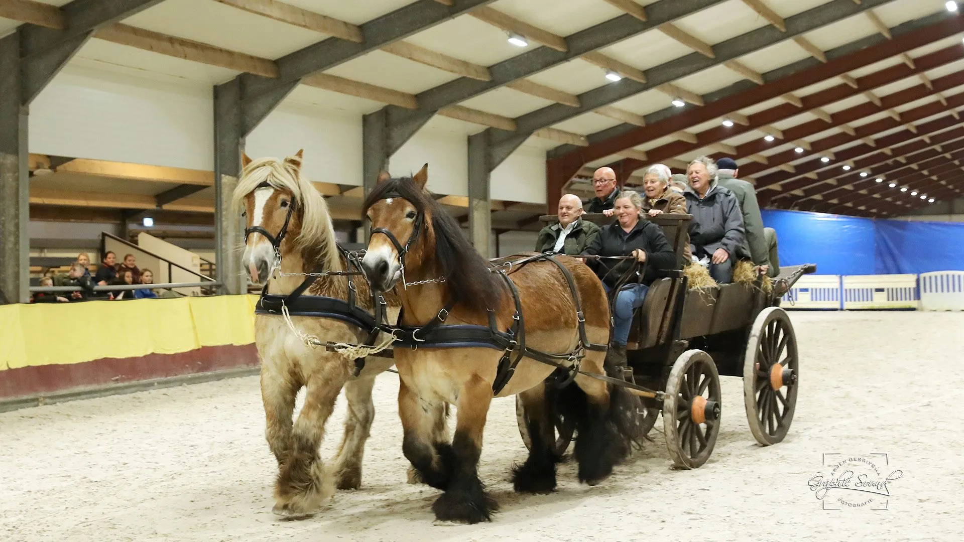 2023 12 17 luxool 28