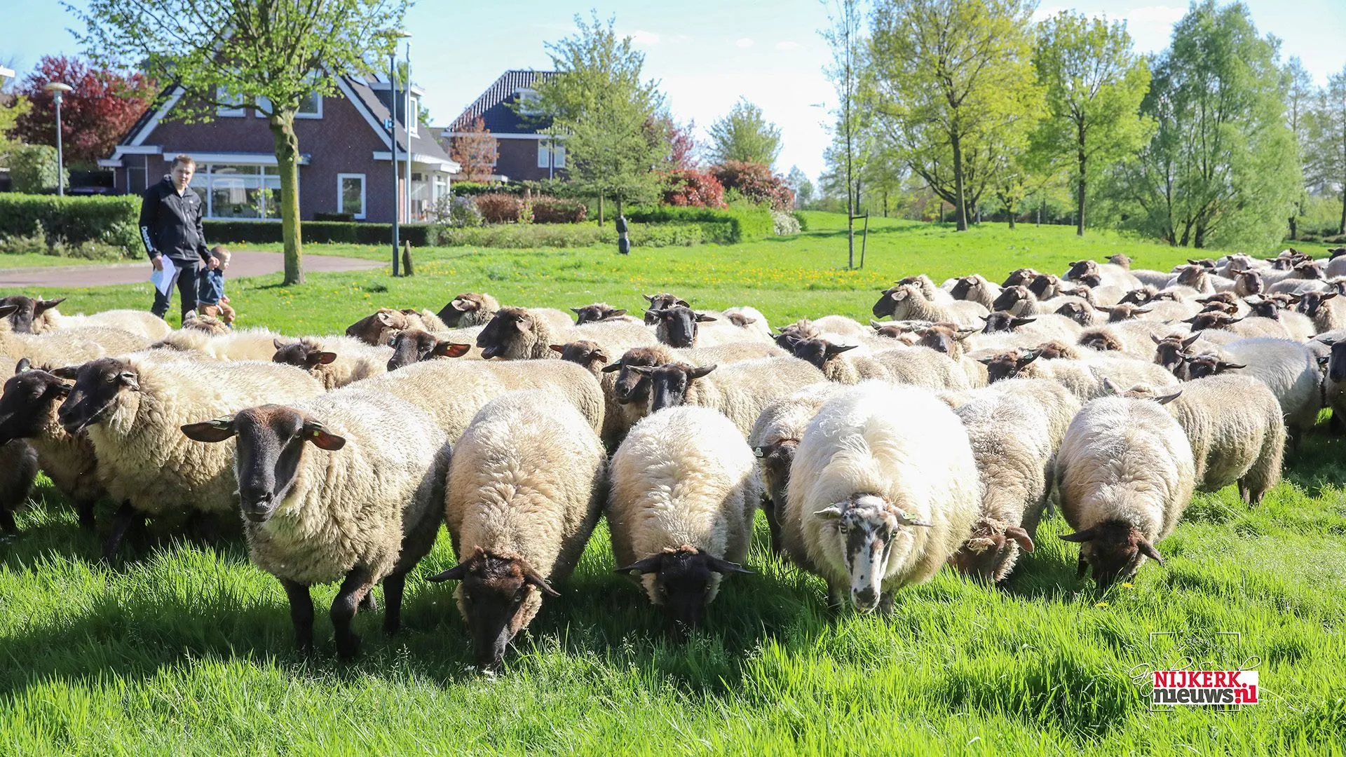 2024 04 10 meida ukkie dagen 05