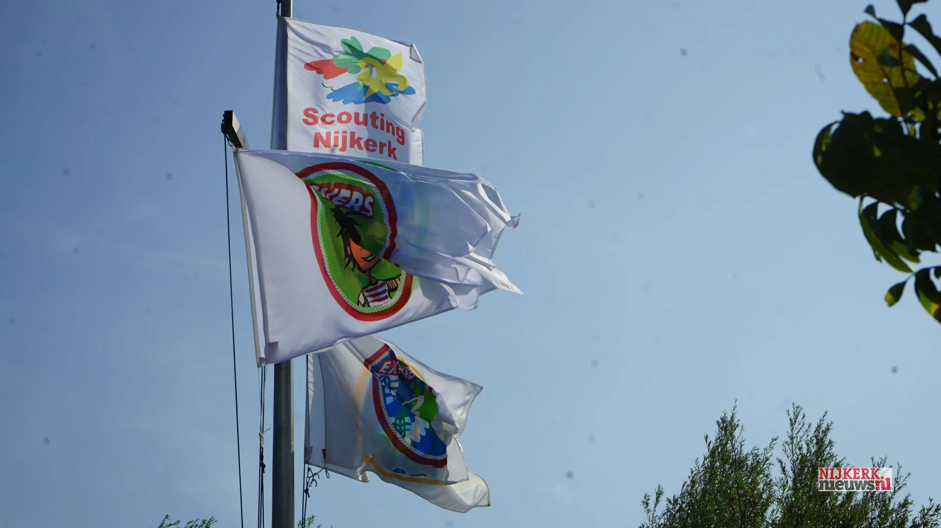 2024 08 31 scouting 11