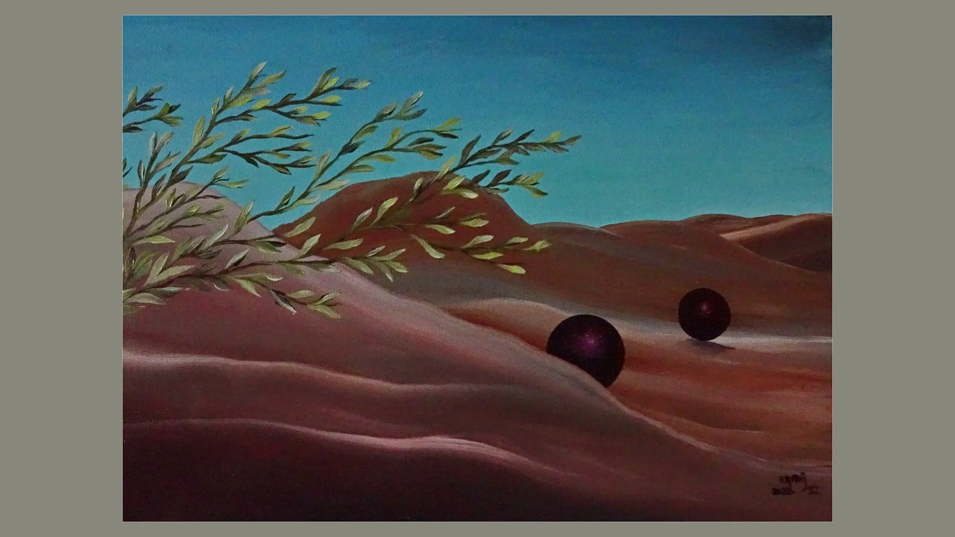 2024 10 28 belvenissen 4