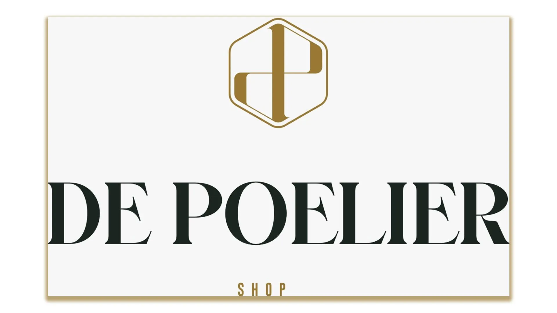 2024 10 29 de polier logo
