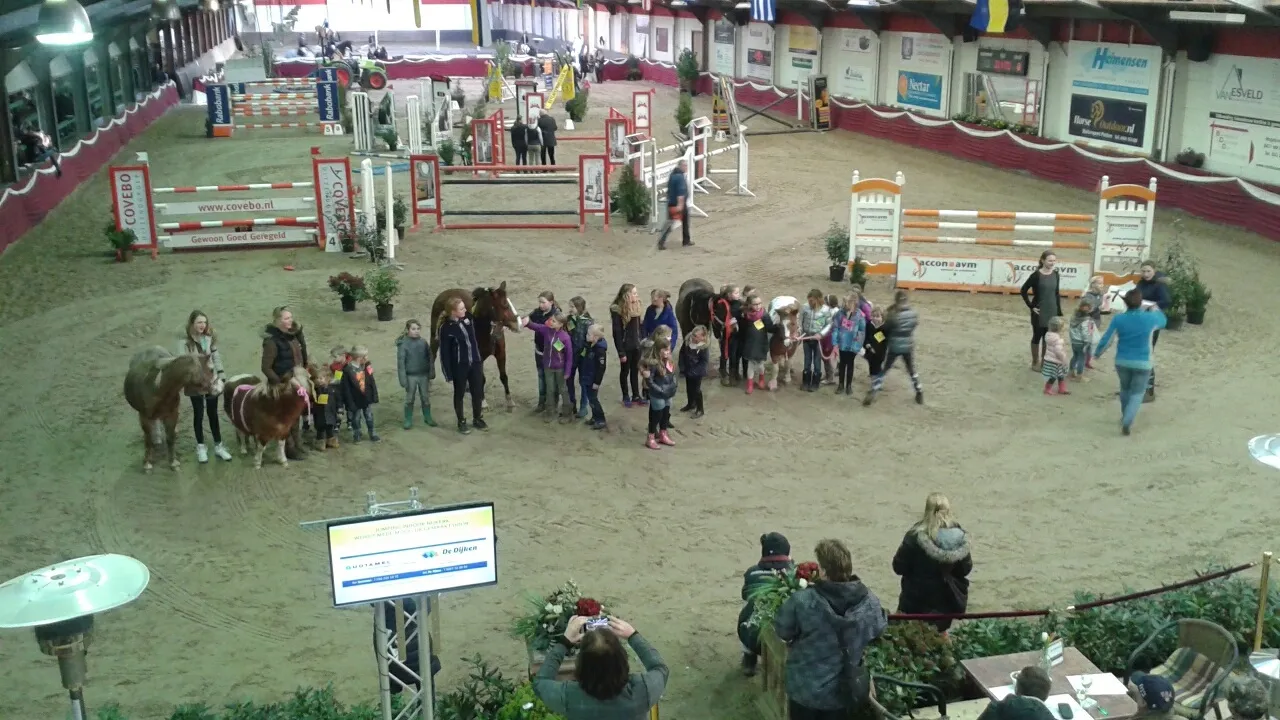 2015 02 27 jumping indoor 1