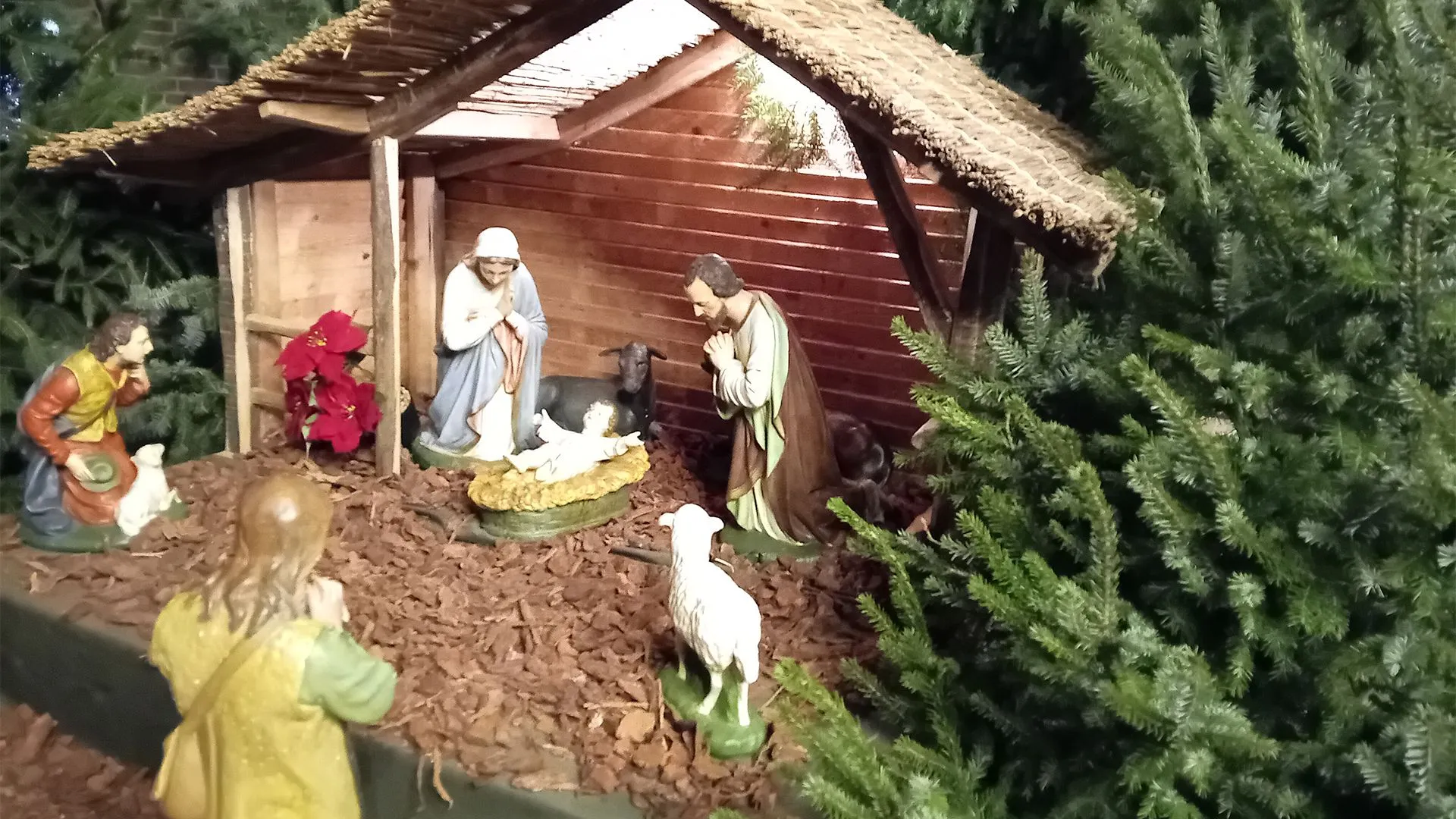 2024 12 13 kerststal