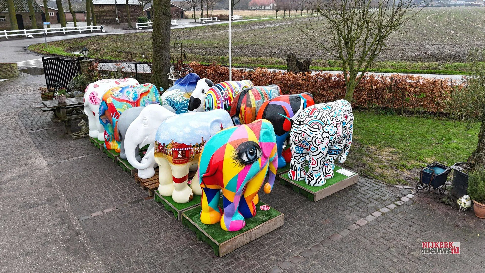 2025 02 11 elephant nicole des bouvri 4