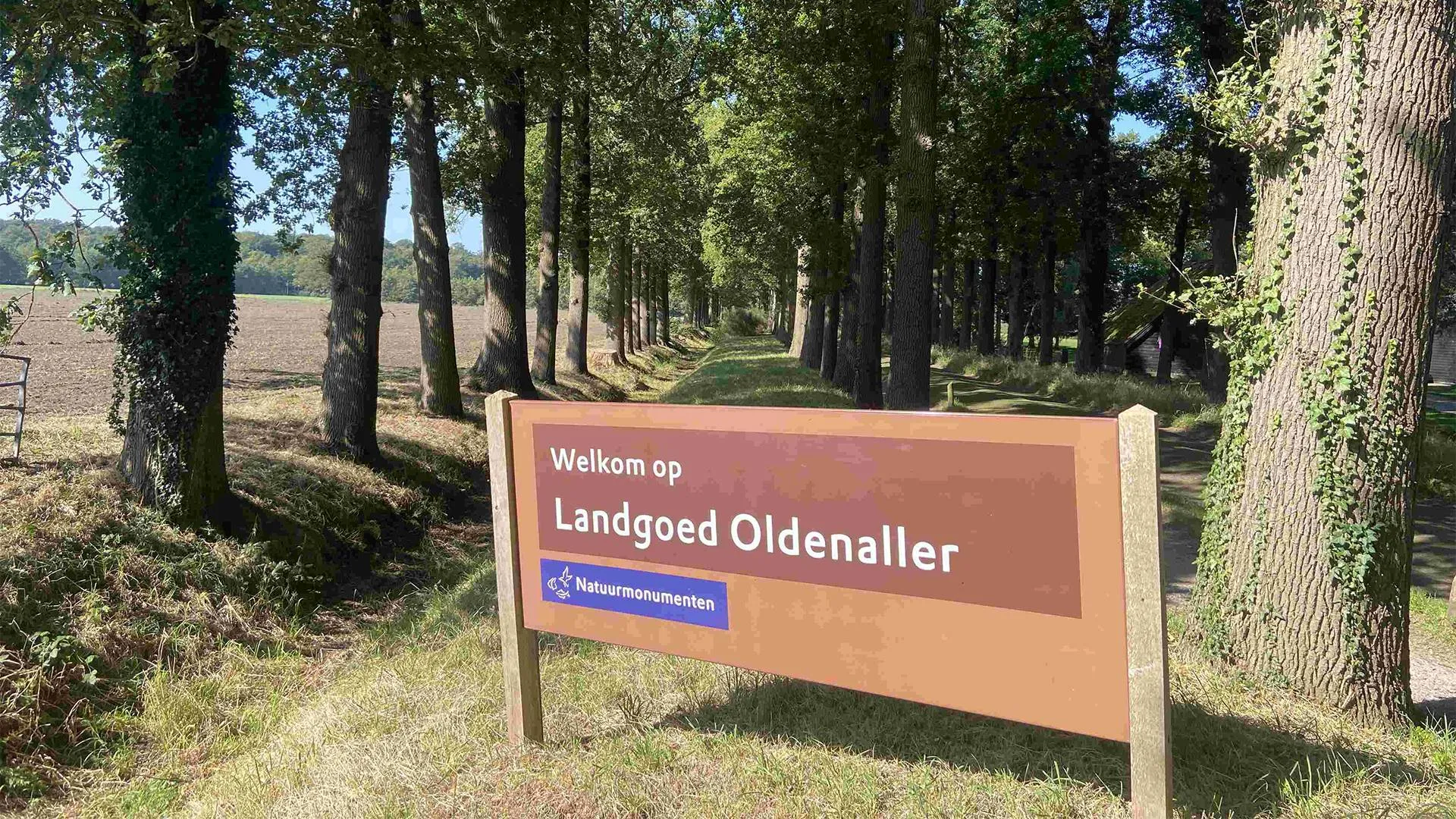 2025 03 12 oldenaller