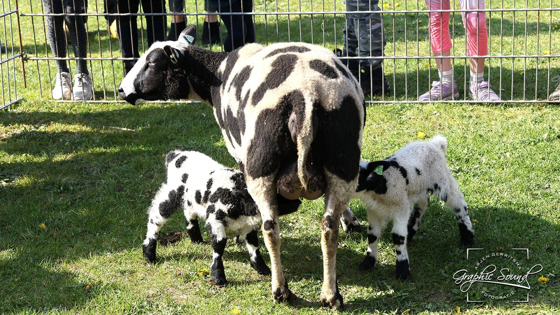 2025 04 11 maranathaschool 001