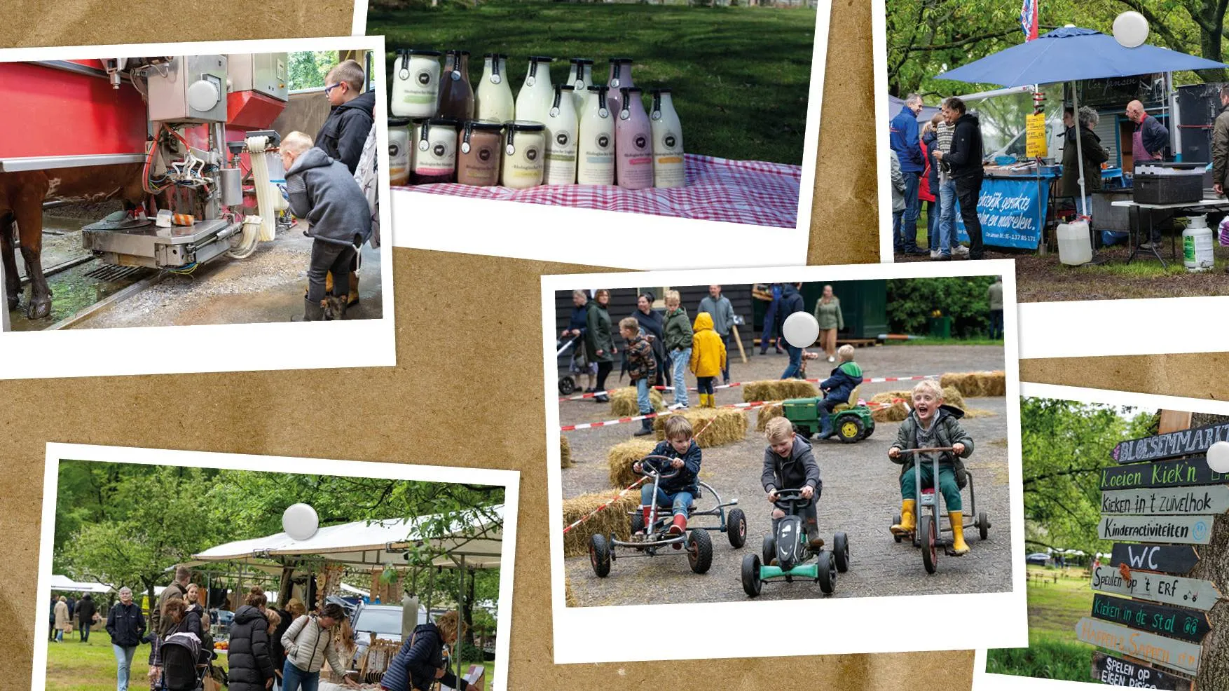 Bloesemmarkt en open dag bij Klein Olden Aller Zuivel