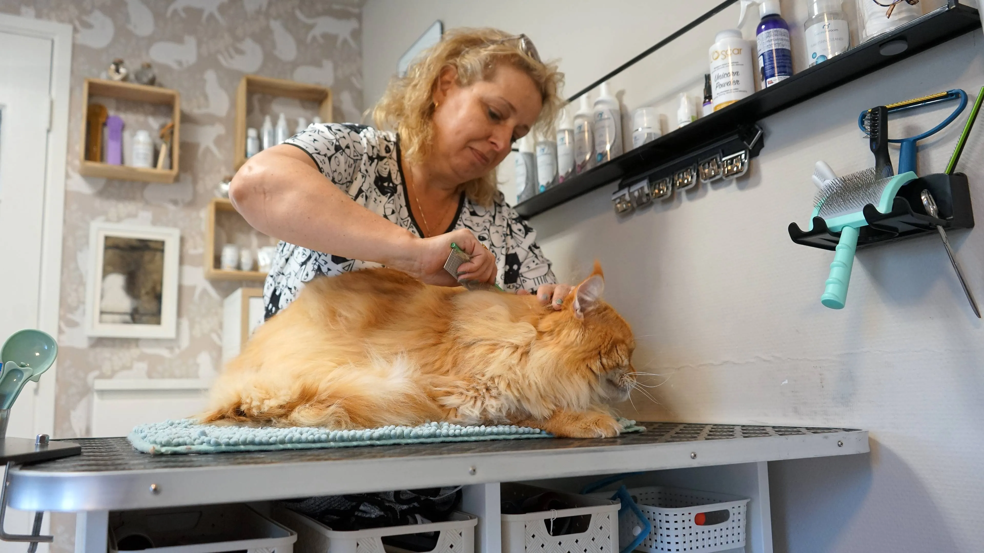 2025 04 29 kattensalon 2