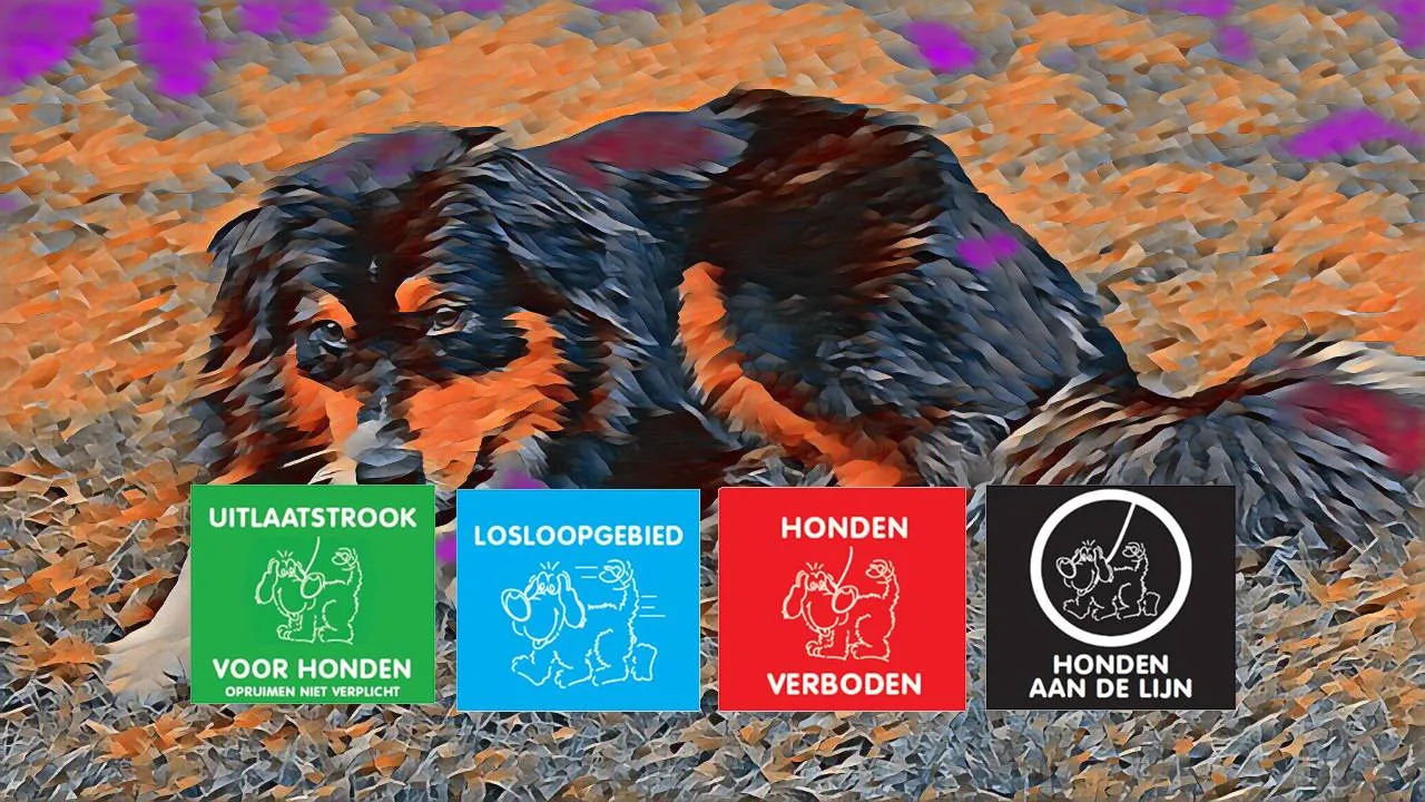 2025-07-18 honden uitlaatbeleid