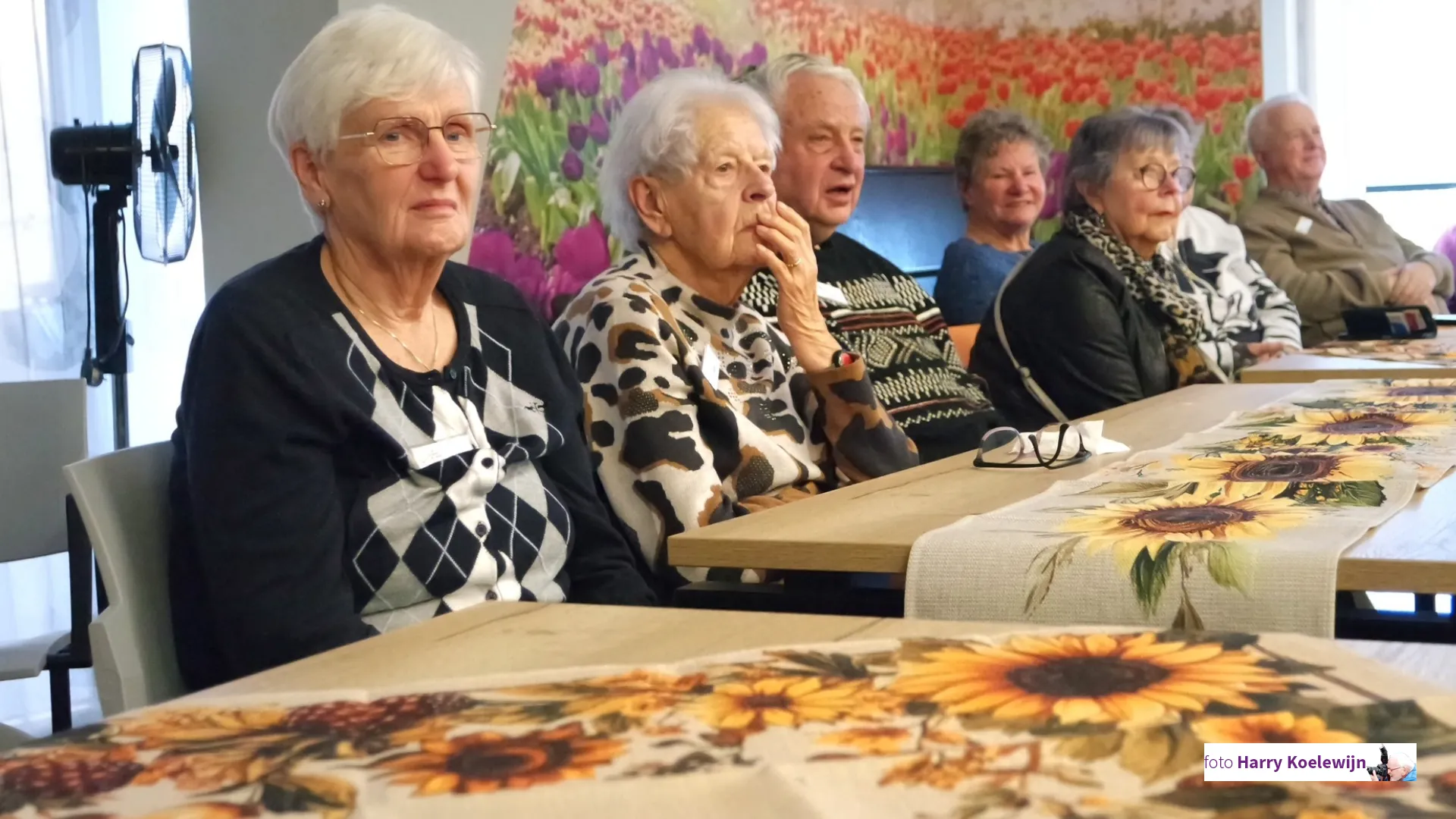 2025-11-13 zonnebloem 3