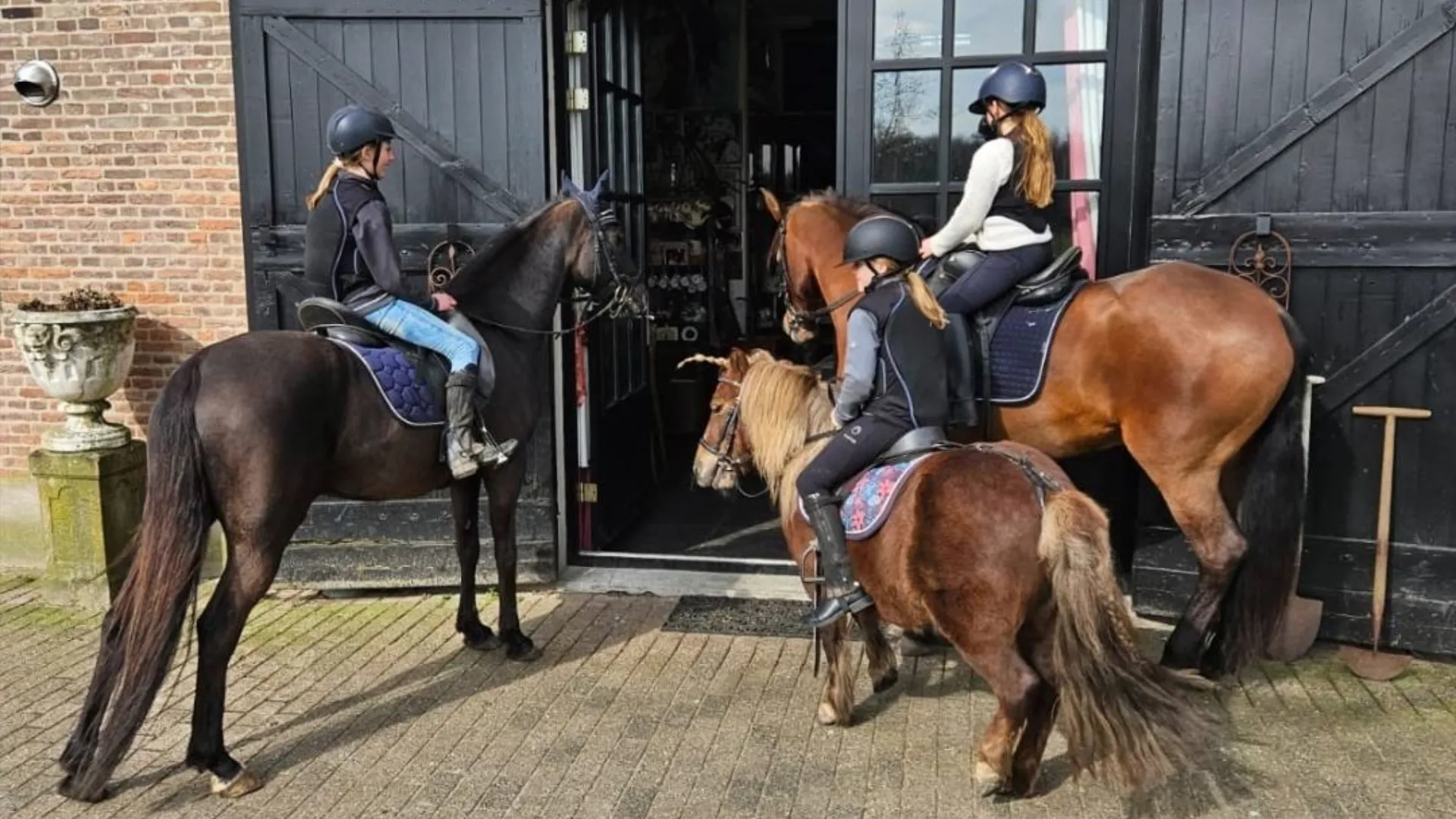 2026-02-11 ponykamp bouvries 2