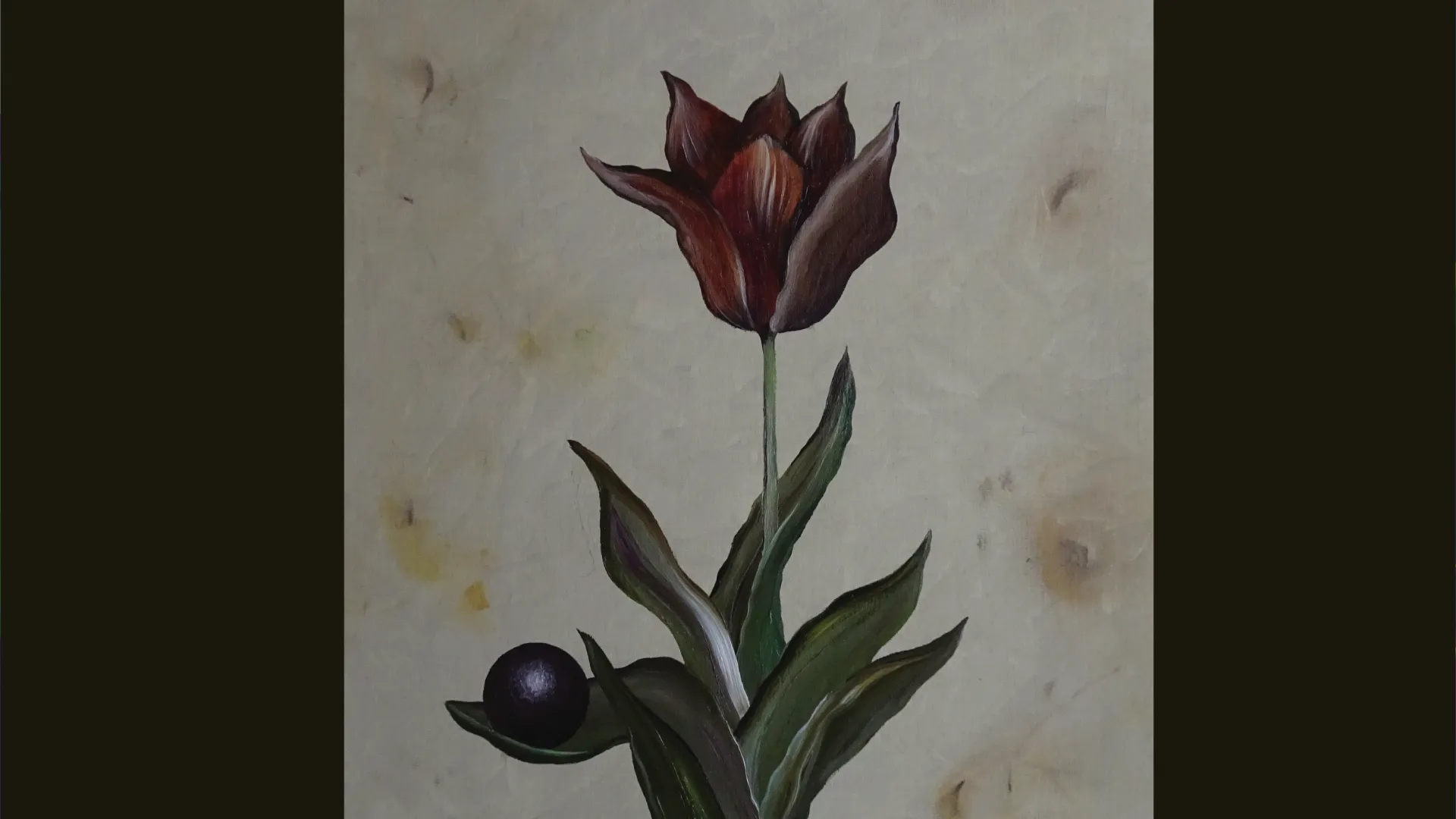 2026-03-01 frank van der kaaij