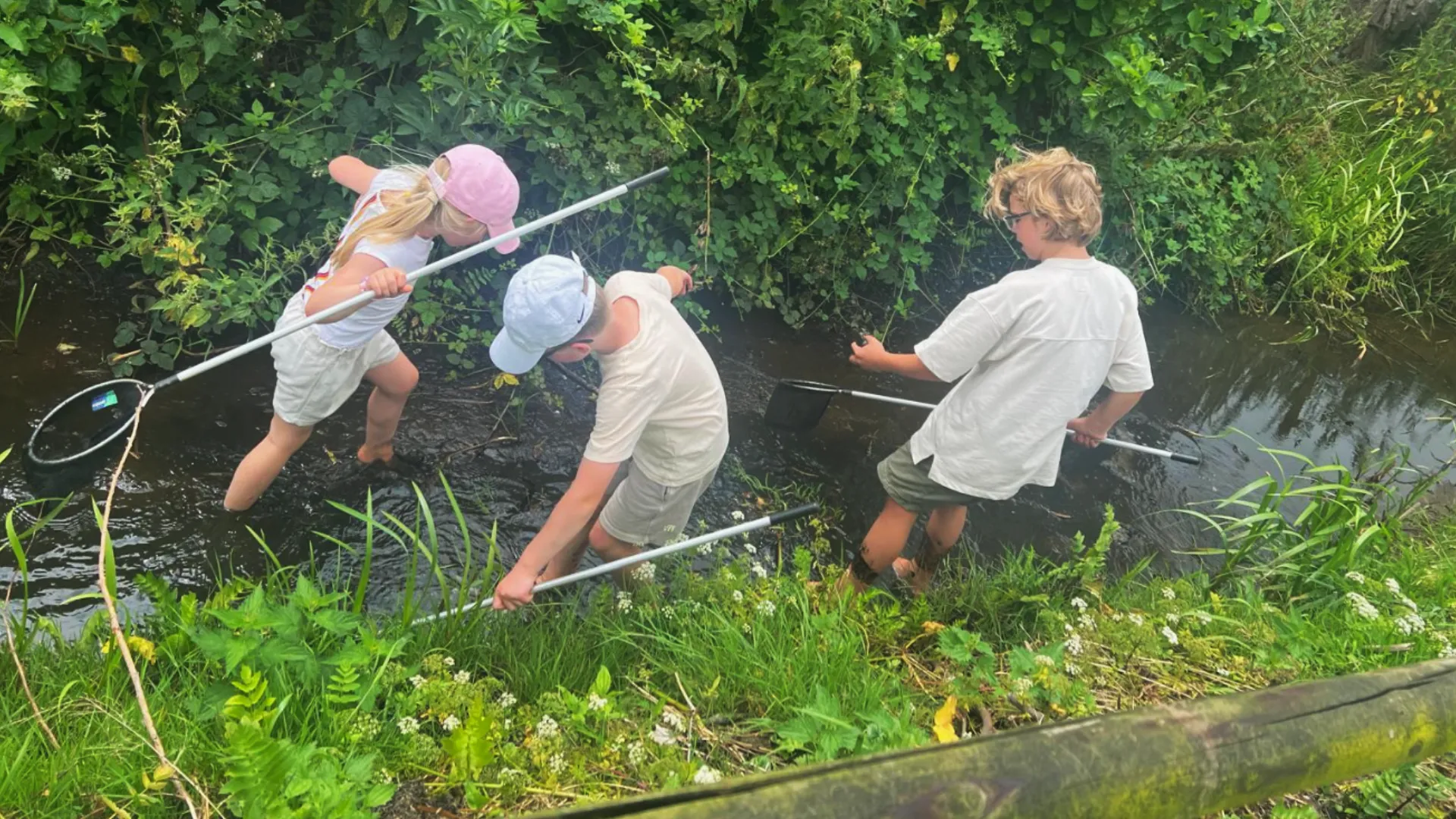 2026-04-22 slootje vissen