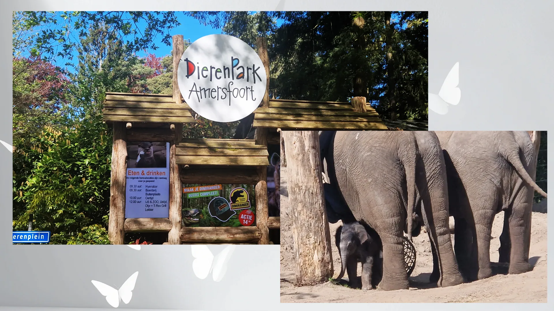 2026-04-29 dierenpark jongerenwerk 1