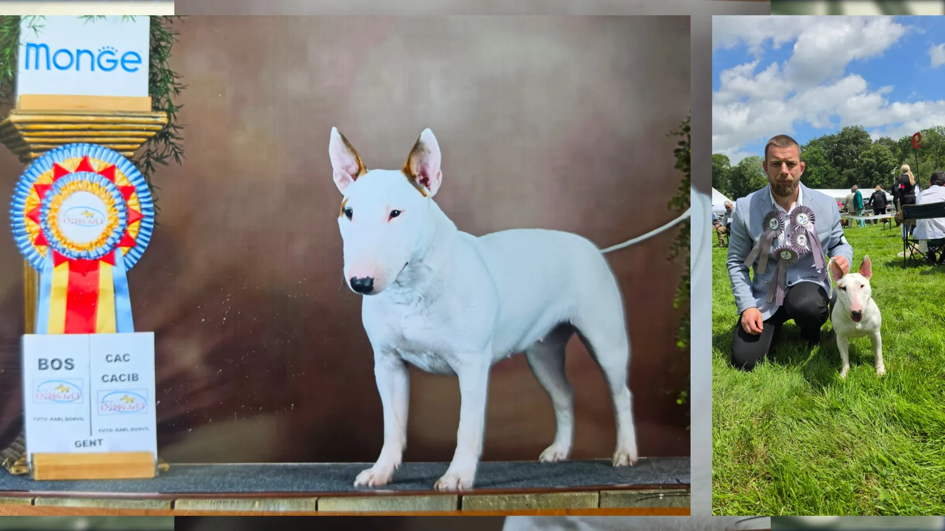 2026-06-23 Piggy Ryga Bul-Corg,