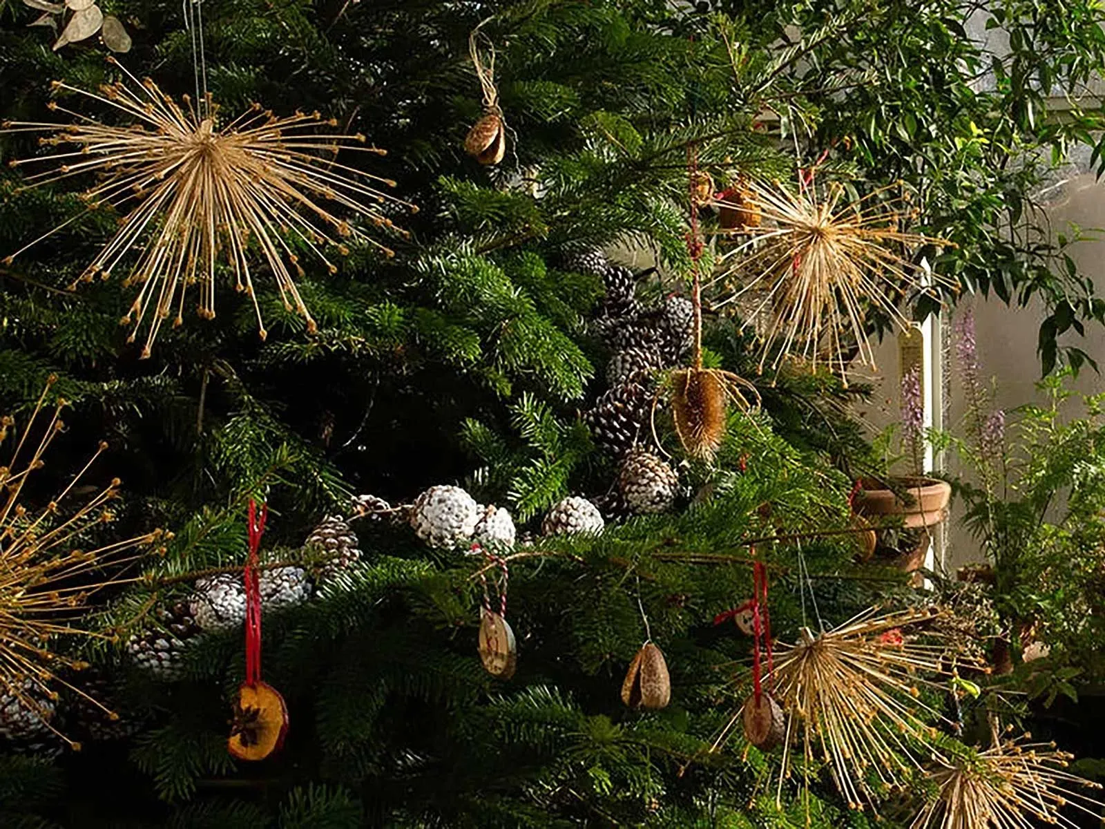 20211111 kerstindehortus 1600x1200 1