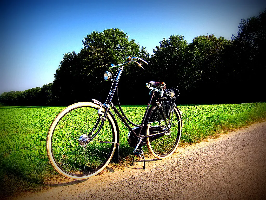 7666959994 1ec331816b b