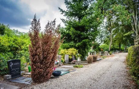 begraafplaatsennijmegenjonkerbos 25 460x295 1