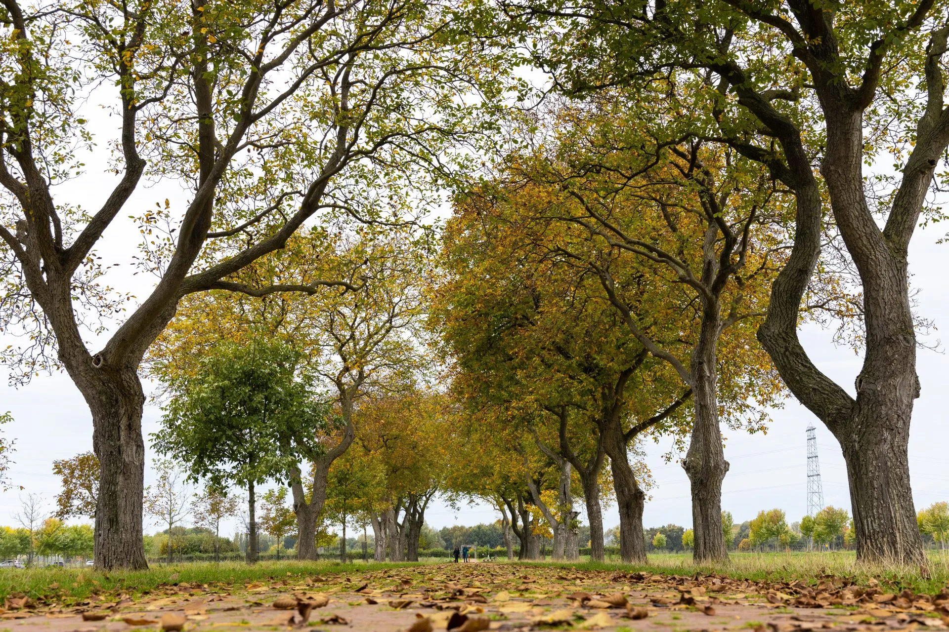 foto park l