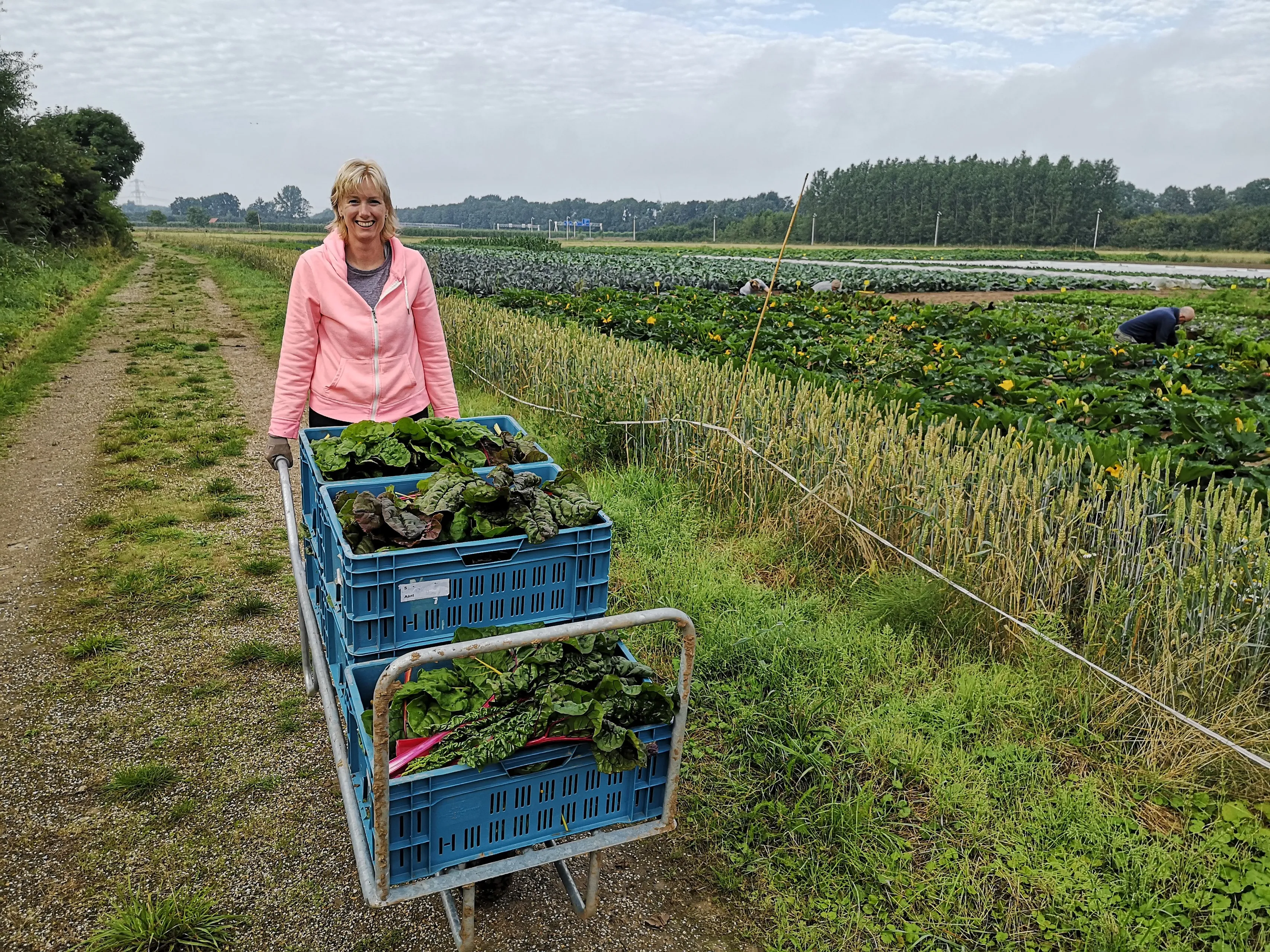 hbl rondleidingen